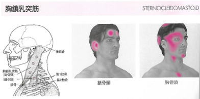 kyosatp.jpg